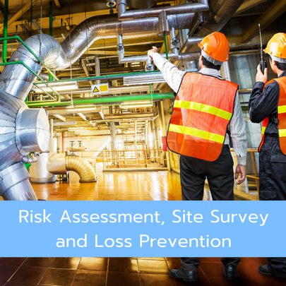 site survey risk assessment risk engineer